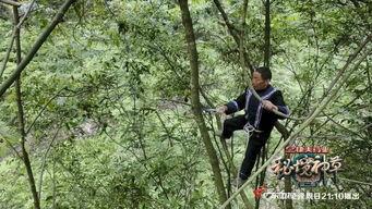 大山里的秘密,揭秘不为人知的秘密