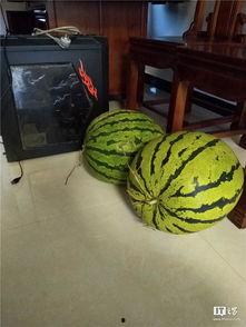 吃瓜大瓜事件,揭秘网络舆论狂欢背后的真相